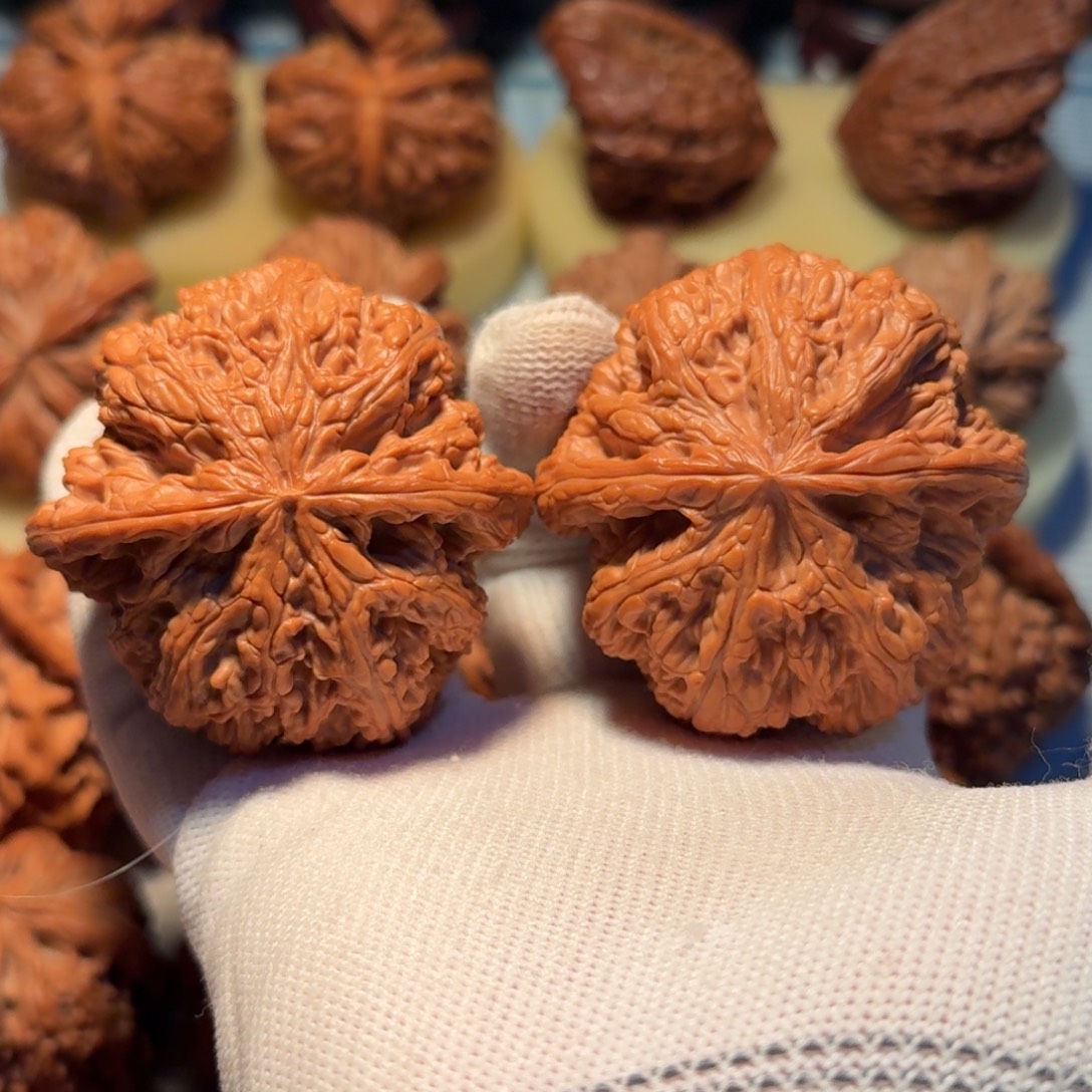 文玩核桃吊坠52大粗筋毕业对