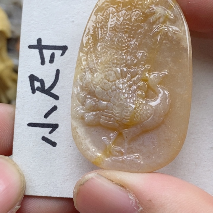 颈饰未镶嵌硅化珊瑚（珊瑚玉）