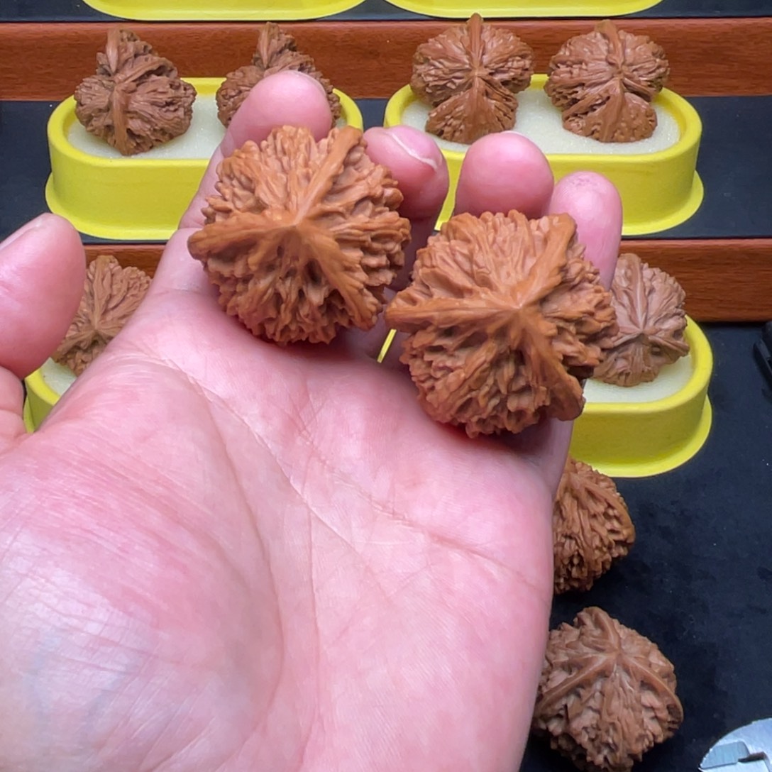 一***哥核桃手串/手链玉龙粗筋