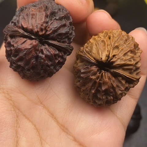 文玩核桃把件40尺牡丹