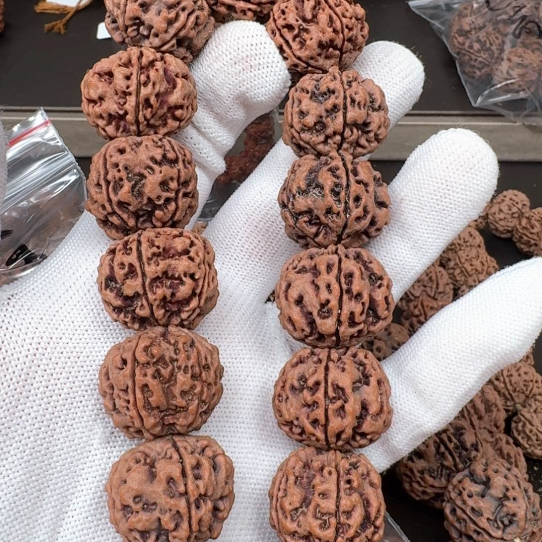 金刚菩提手串一*23+粗筋梅花双龙