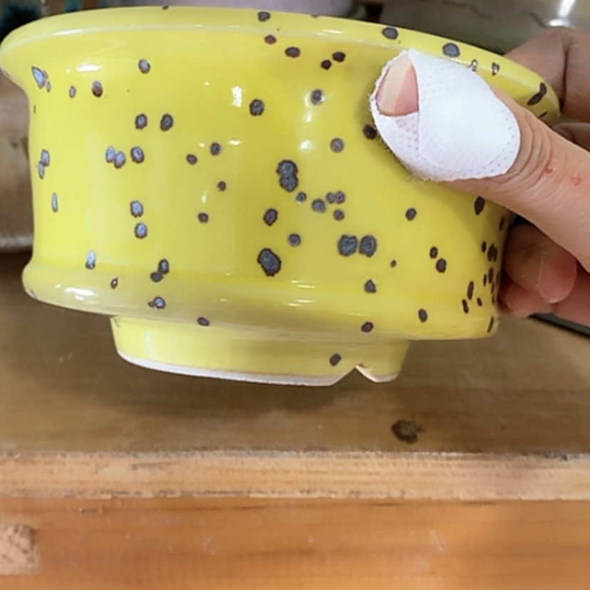 【闪购商品】红陶口12