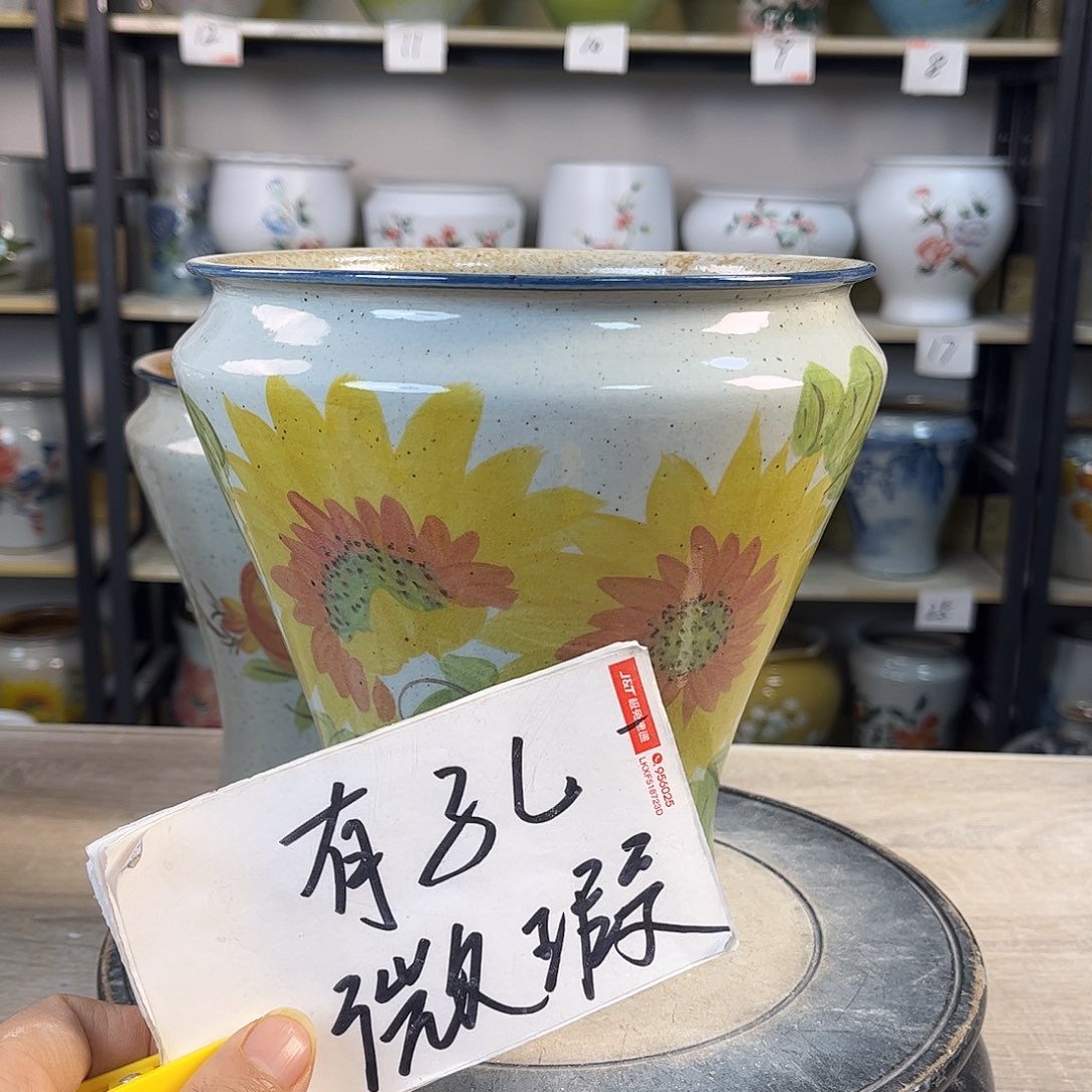 罐1xc景德镇陶瓷花瓶