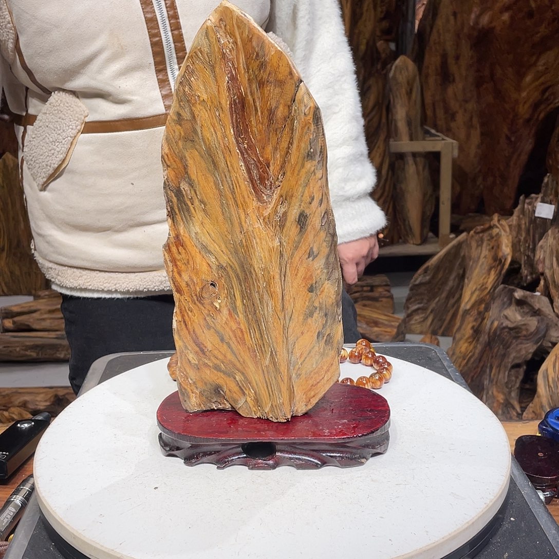 幸***介松木（琥珀木）琥珀木