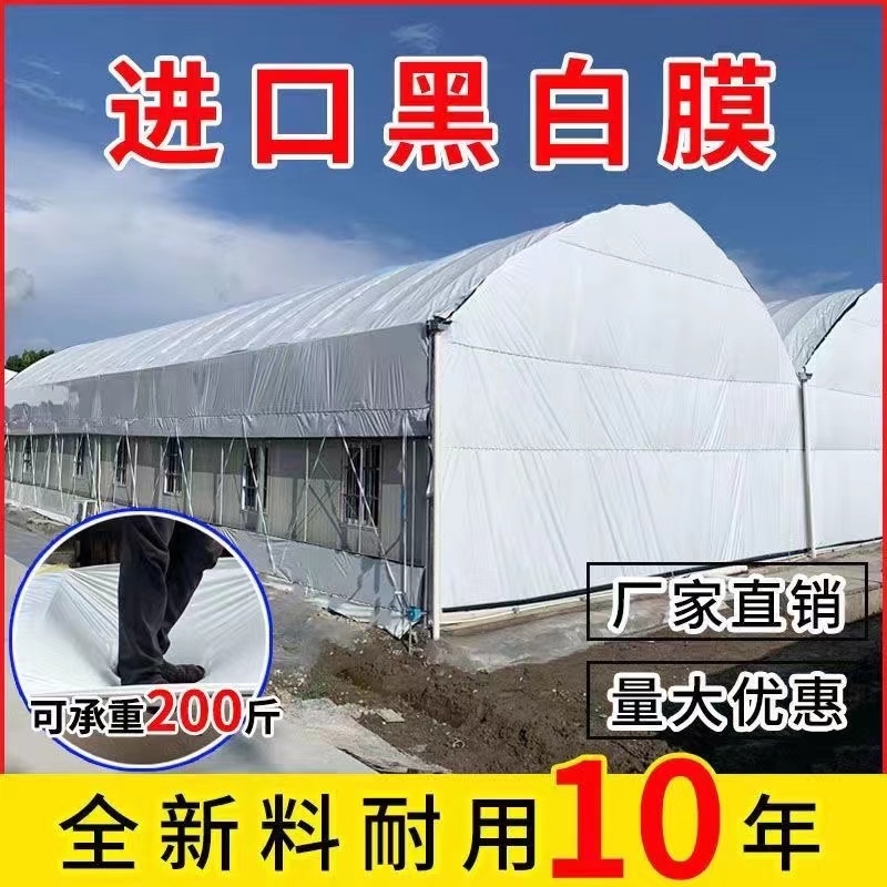 进口黑白膜加厚养殖大棚黑白膜反光隔热膜防晒塑料布食用菌绿白膜