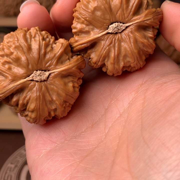 W***.白狮子1条一箱的都不贵