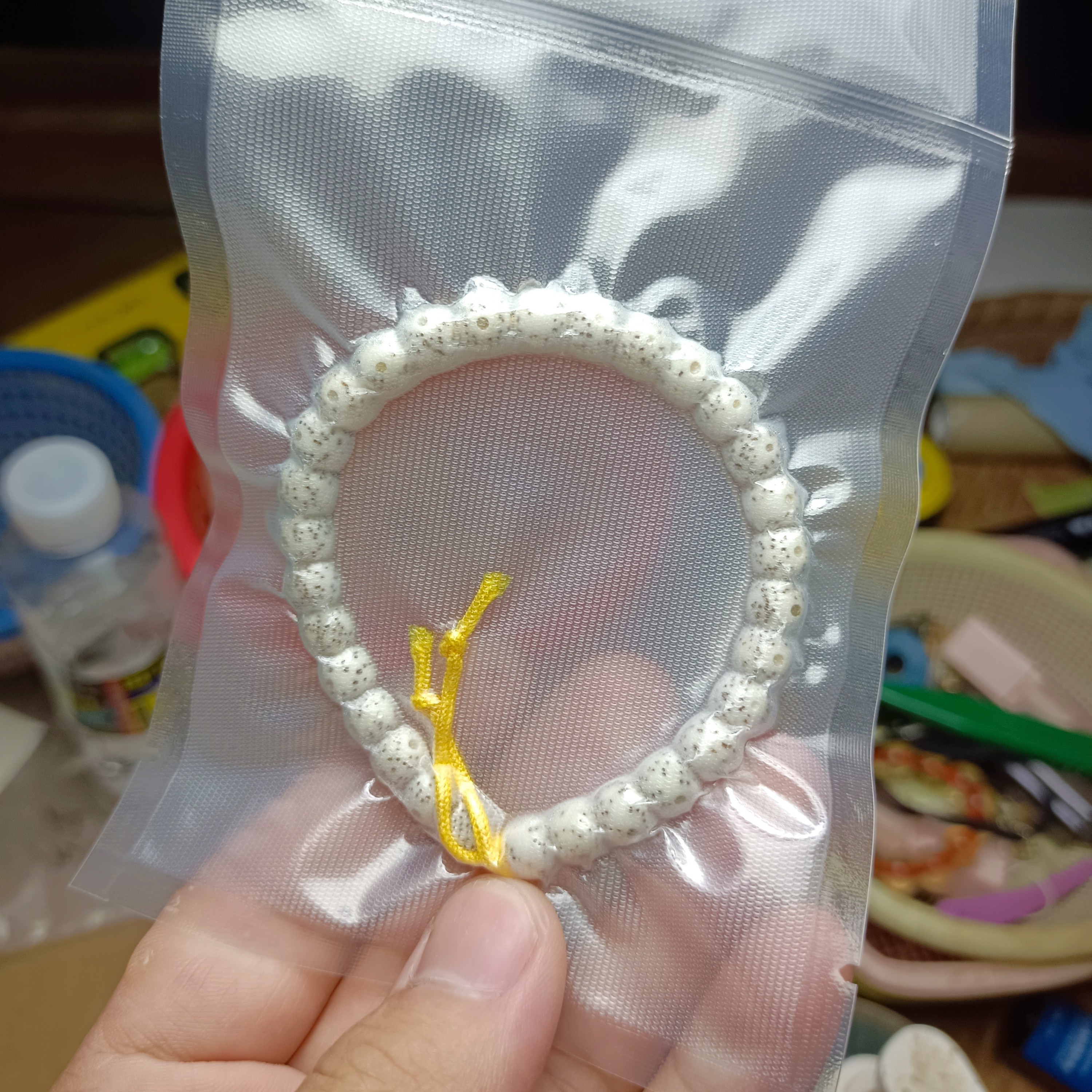 原生态正月河豚67