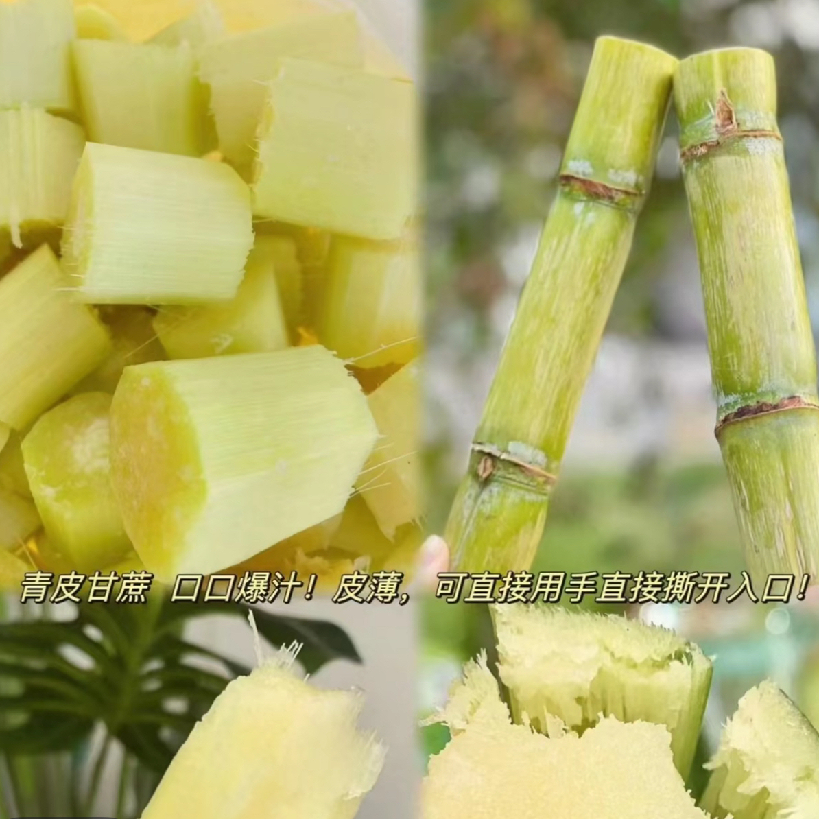 果切超甜云南青皮甘蔗一盒