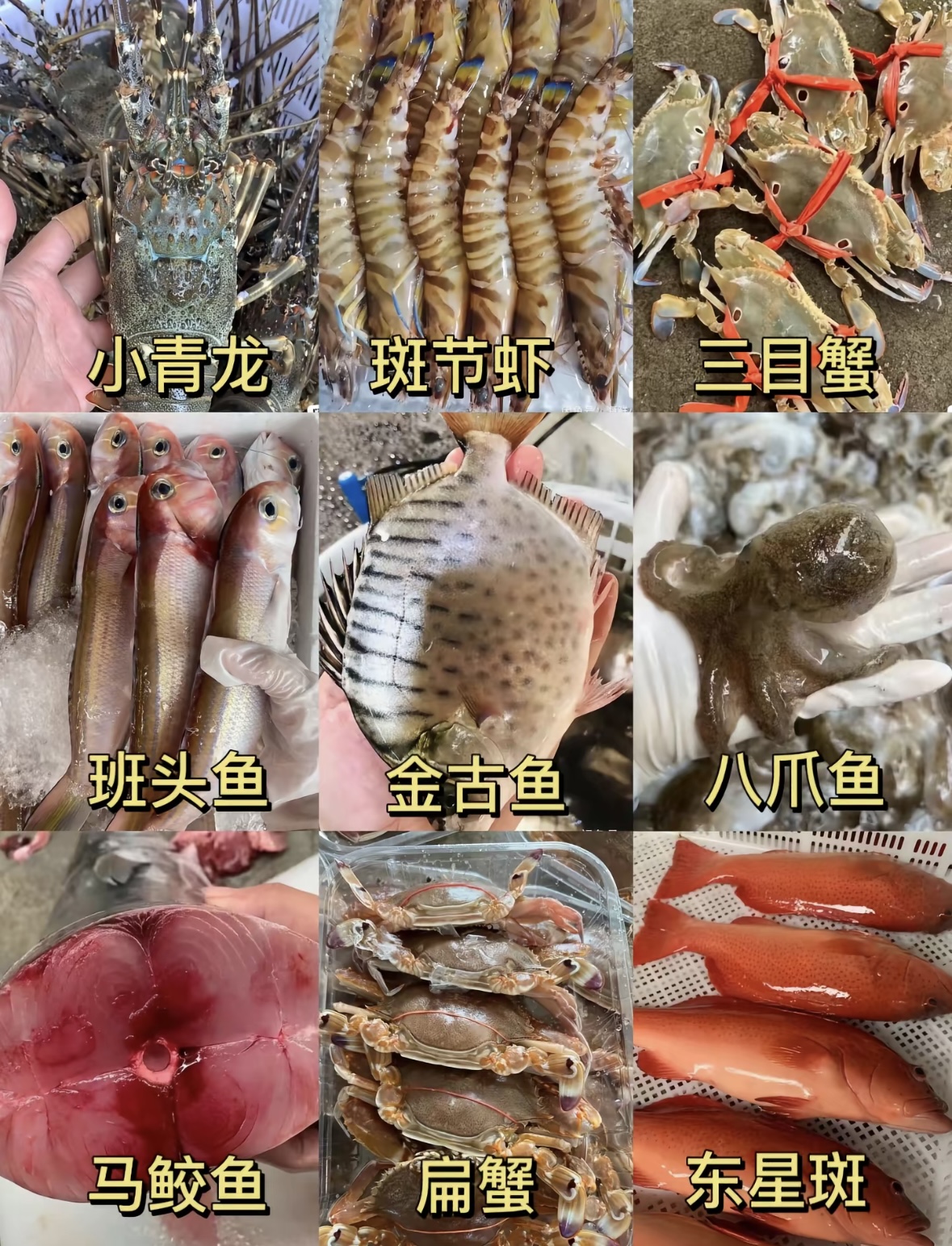 （兰花蛤）直播间现称链接，以直播间海鲜为主