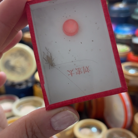 书***为蟋蟀啊哈哈哈哈啊哈哈哈