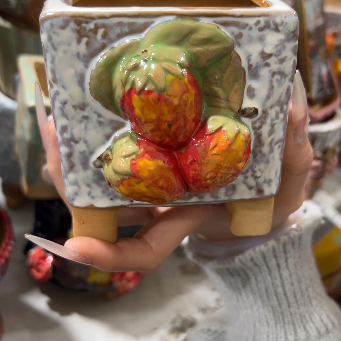 满20发多肉花盆秒拍秒退拉黑