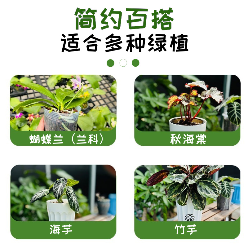 蝴蝶兰植料石斛兰种植基质专用泥炭土大棚炭棉杯透气防烂根