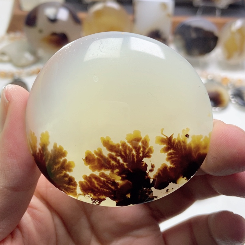 【闪购商品】玛瑙/玉髓颈饰未镶嵌