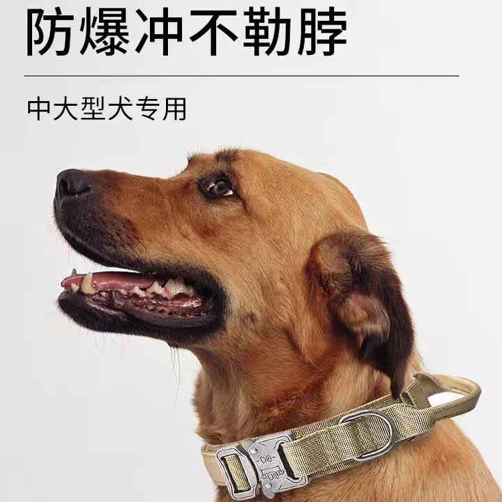 护颈狗狗战术项圈可牵引防爆冲中大型犬金属扣防脱舒适不伤脖子