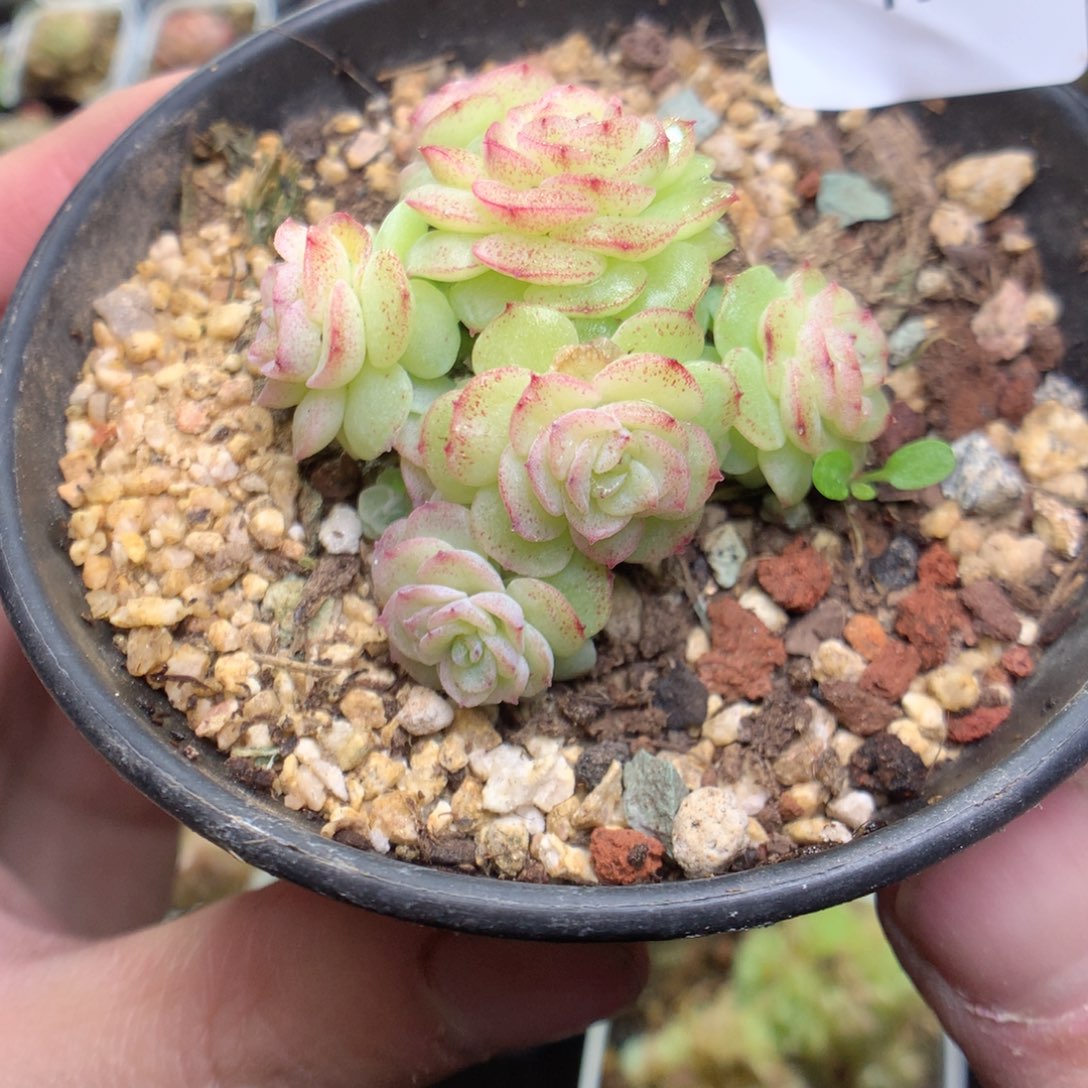 R98y y y y y y y y y y y y