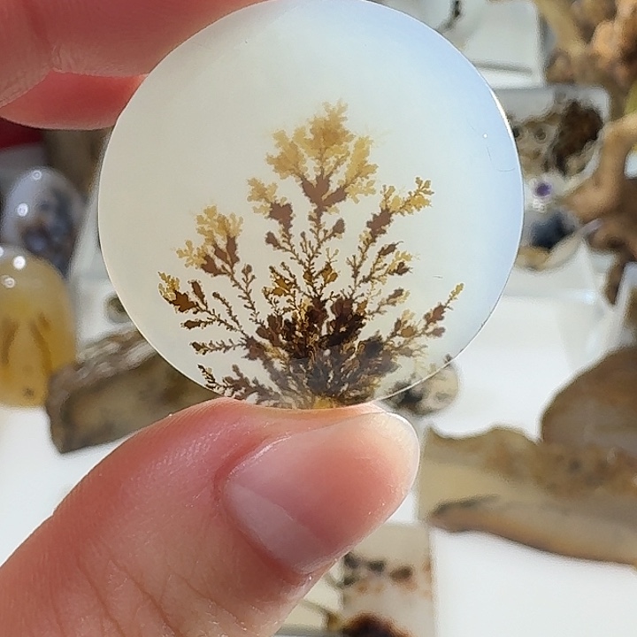 玛瑙/玉髓未镶嵌珠宝半成品