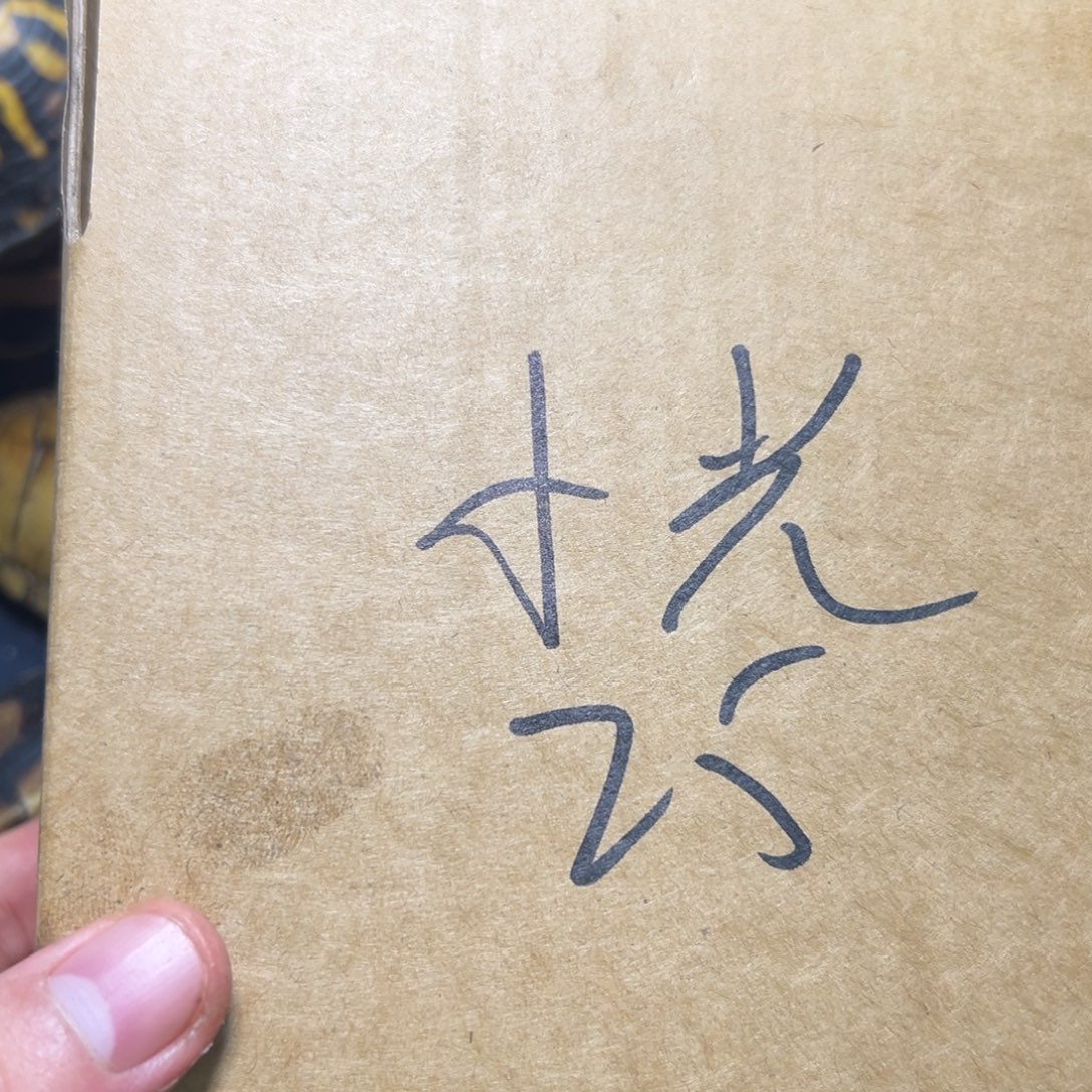 小***b呀呀呀呀呀呀呀呀呀呀