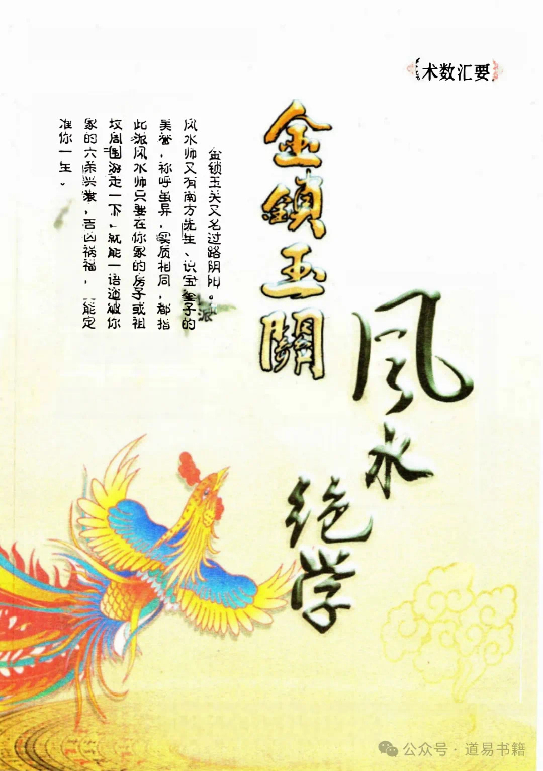 铁口直断《金锁玉关风水绝学断财富，事业，爱情传统文化书籍风水