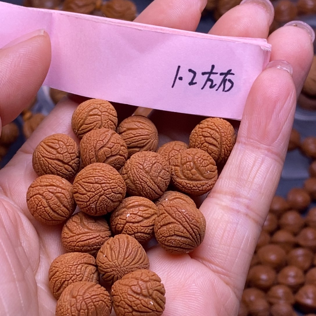 秦岭龙纹桃核20颗