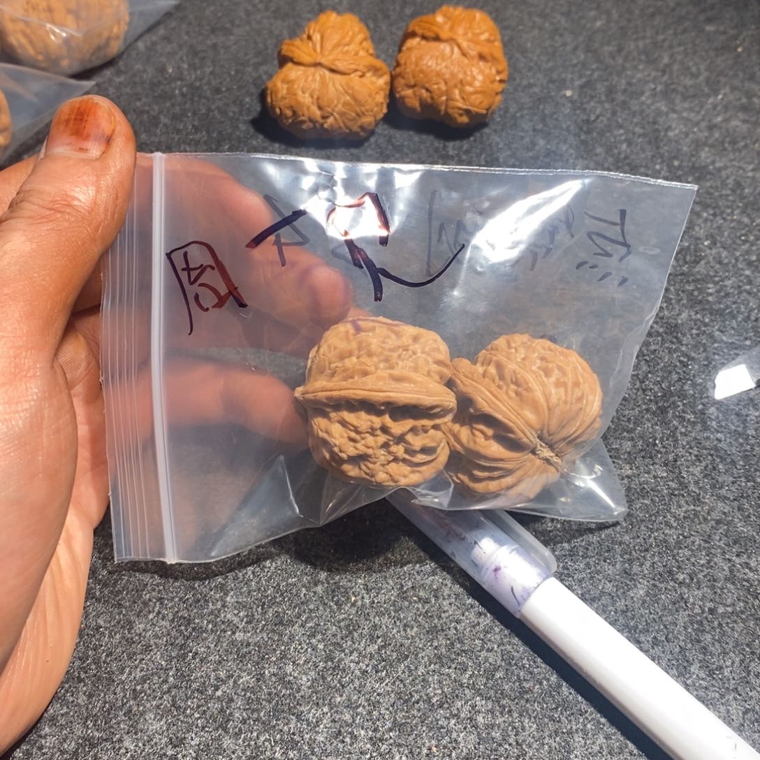 吊坠文玩核桃白狮子