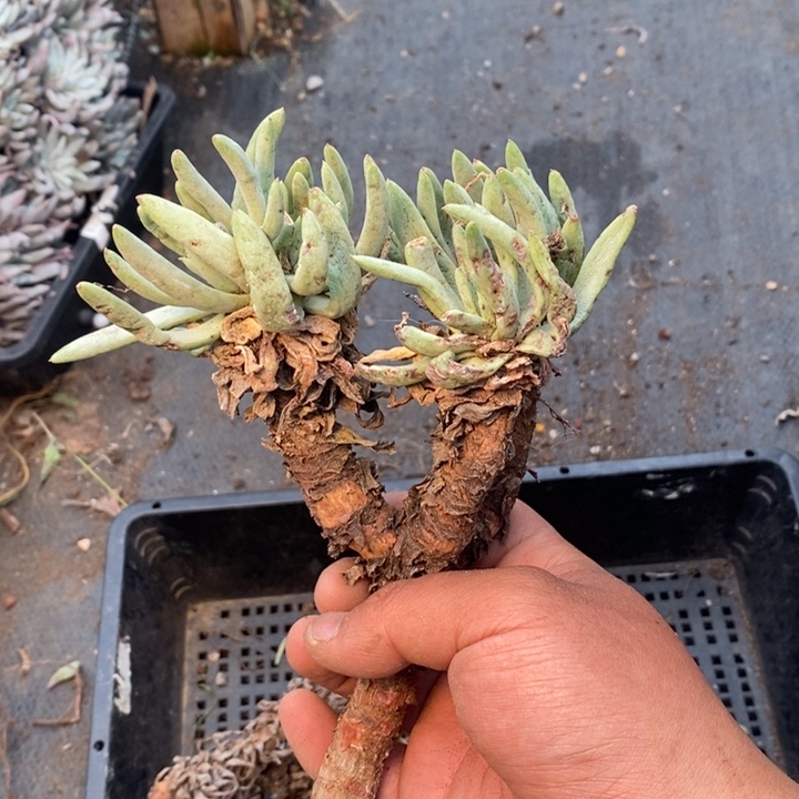 4079哈哈哈哈哈哈哈哈哈哈