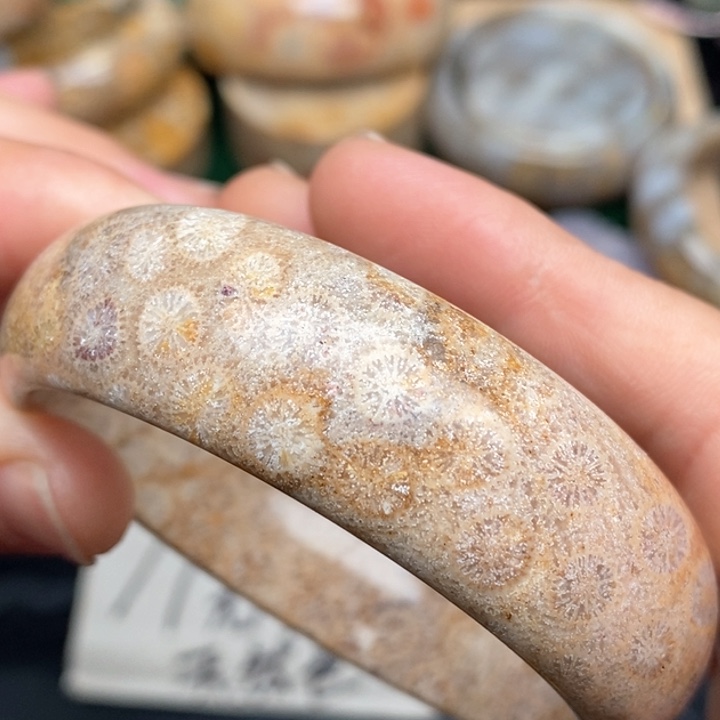 硅化珊瑚（珊瑚玉）手镯未镶嵌54