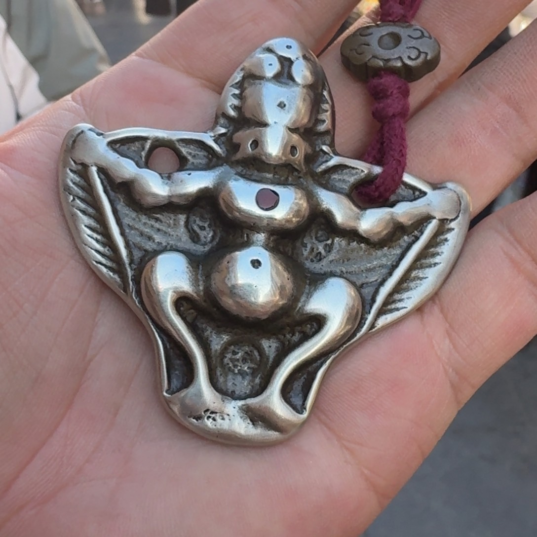 大鹏鸟喜欢带回家