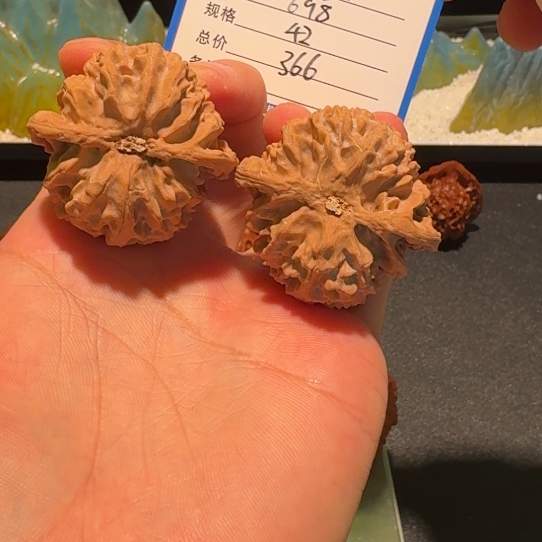 哎***️苹果园编号698精品