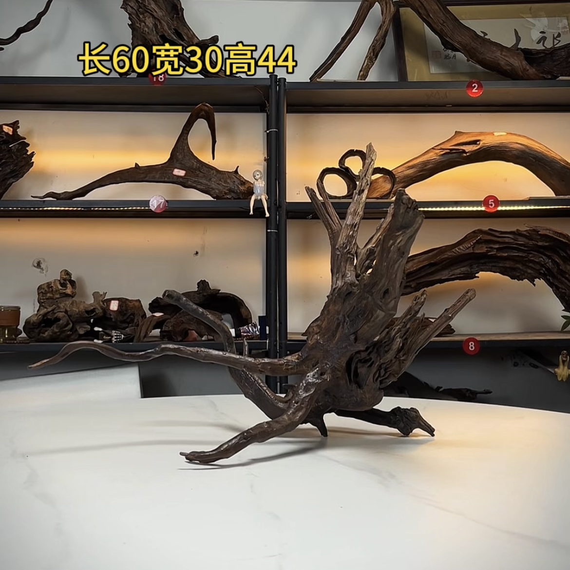 张大狼造景沉木长60cm一体细多枝 南美鱼缸造景 紫柚木秒沉