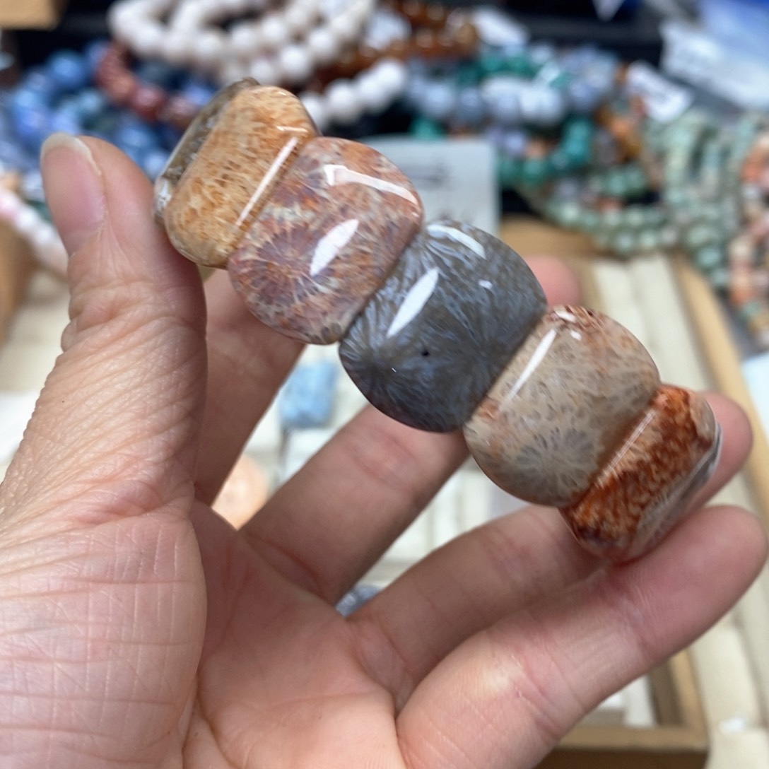 硅化珊瑚（珊瑚玉）手链未镶嵌我***肉230