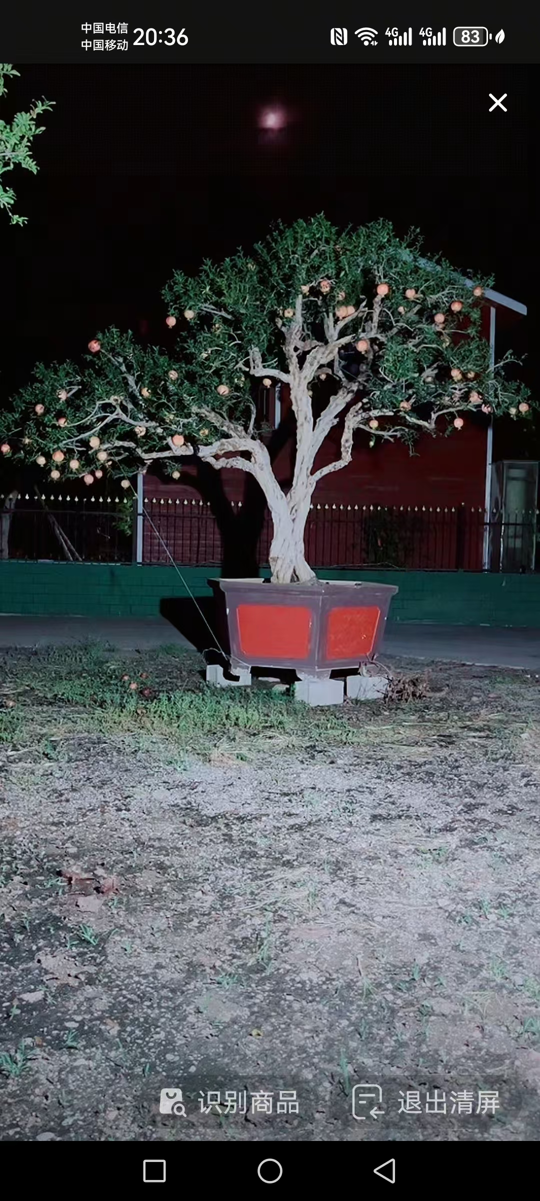 直播链接，一物一拍，请勿直接下单