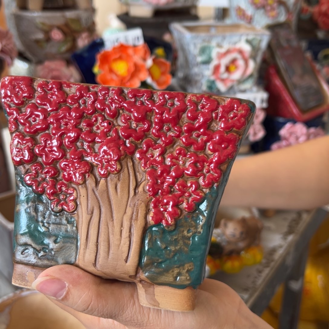 多肉花盆，满20米发货爱退款拉黑