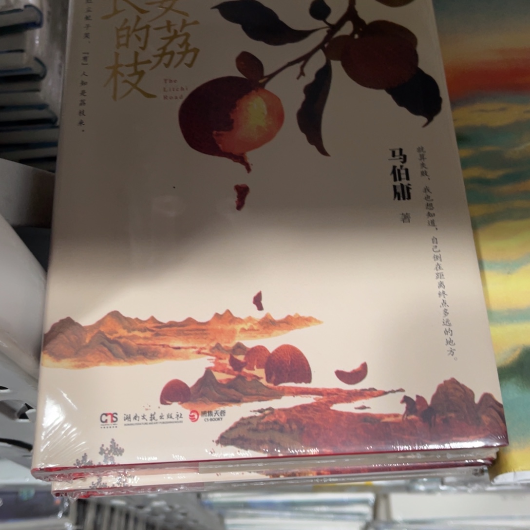 长安的荔枝精装一个