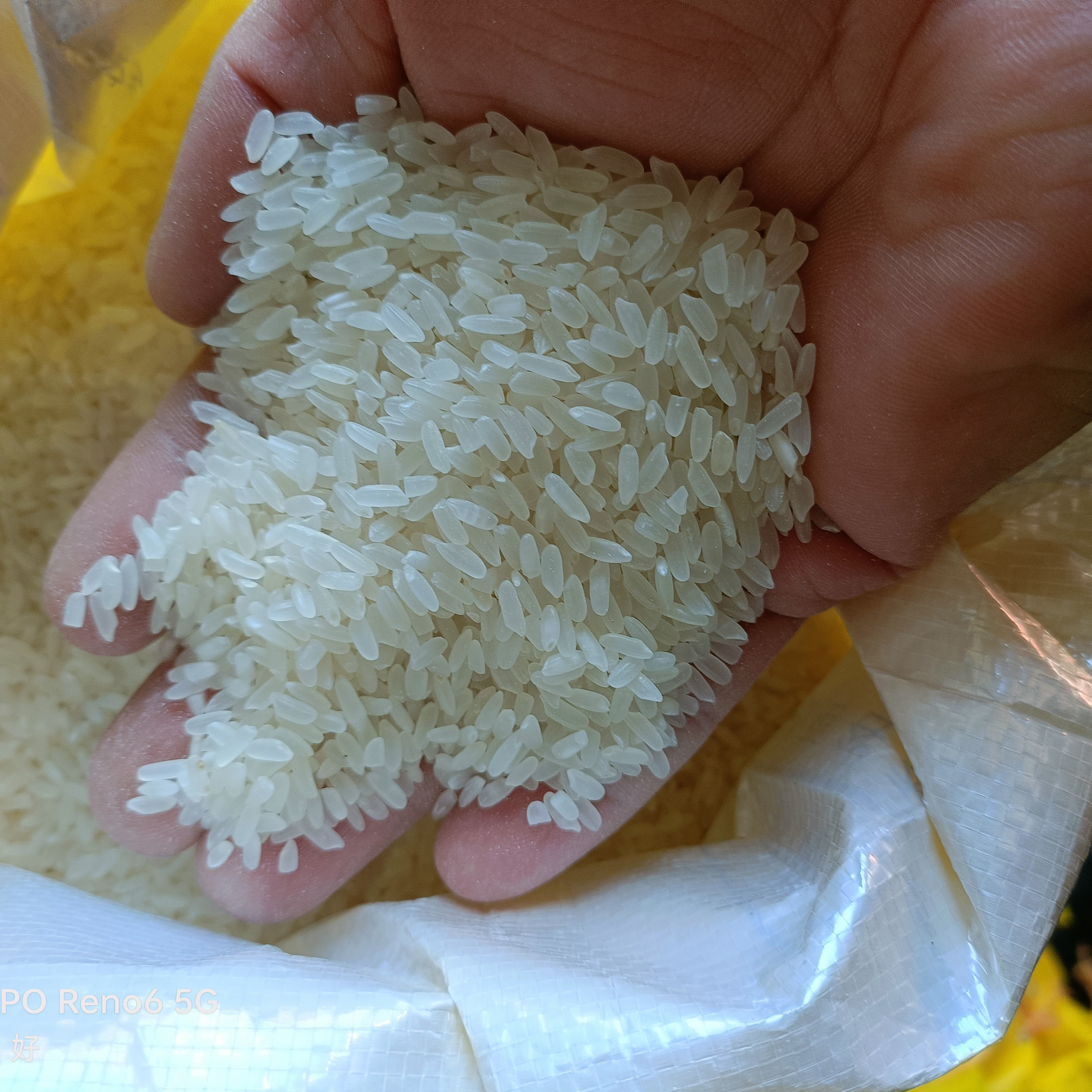 稻花香2号大米10斤一代