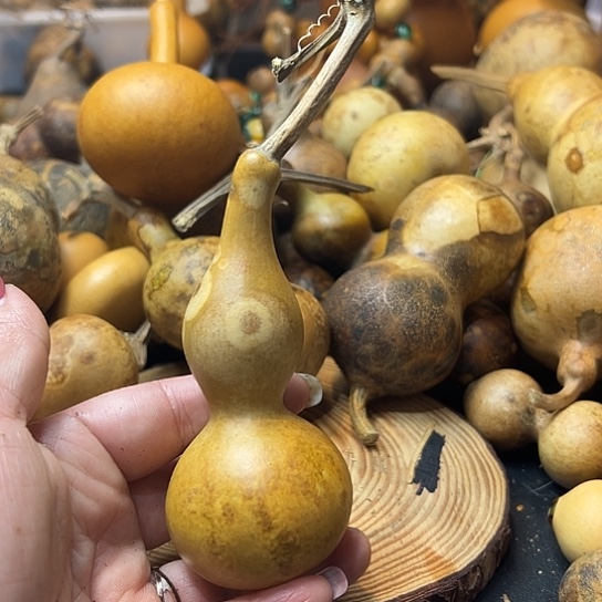 尼*丁葫芦葫芦葫芦葫芦