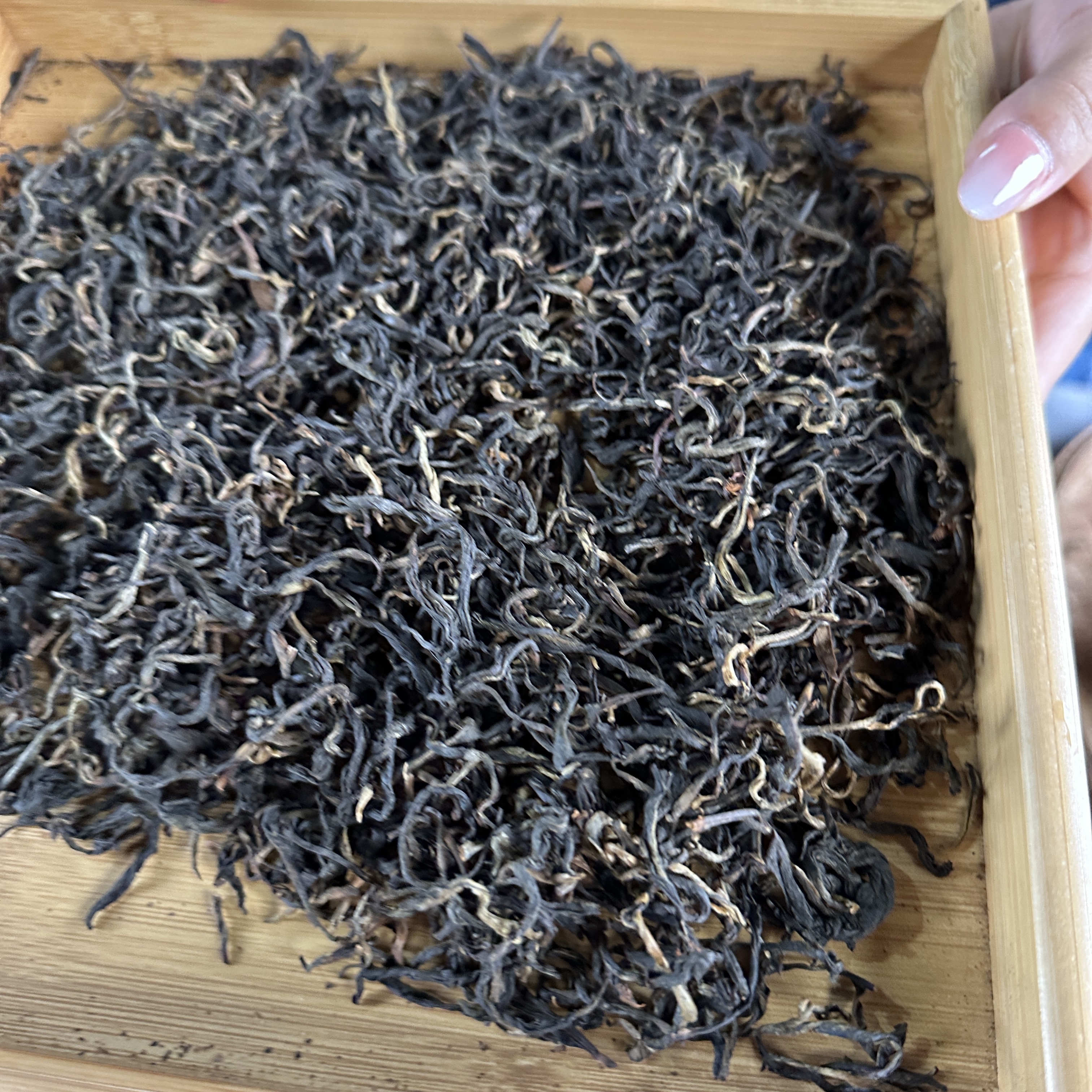 【2025年茶房荔枝香晒红茶   浮力一哥】红茶