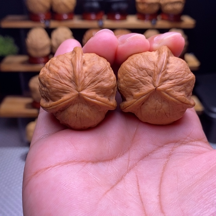 (****木质类云铁甲壳虫三棱1号