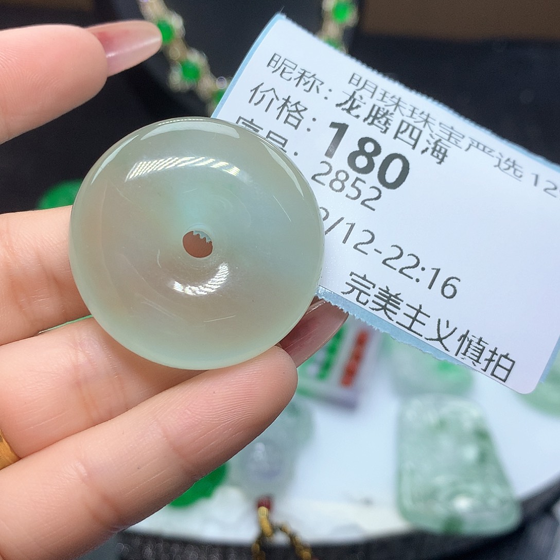 翡翠吊坠(赠链)未镶嵌龙**海