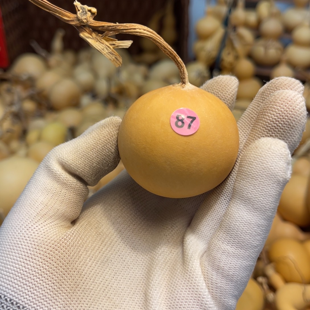 闪拍葫芦链接-87号品