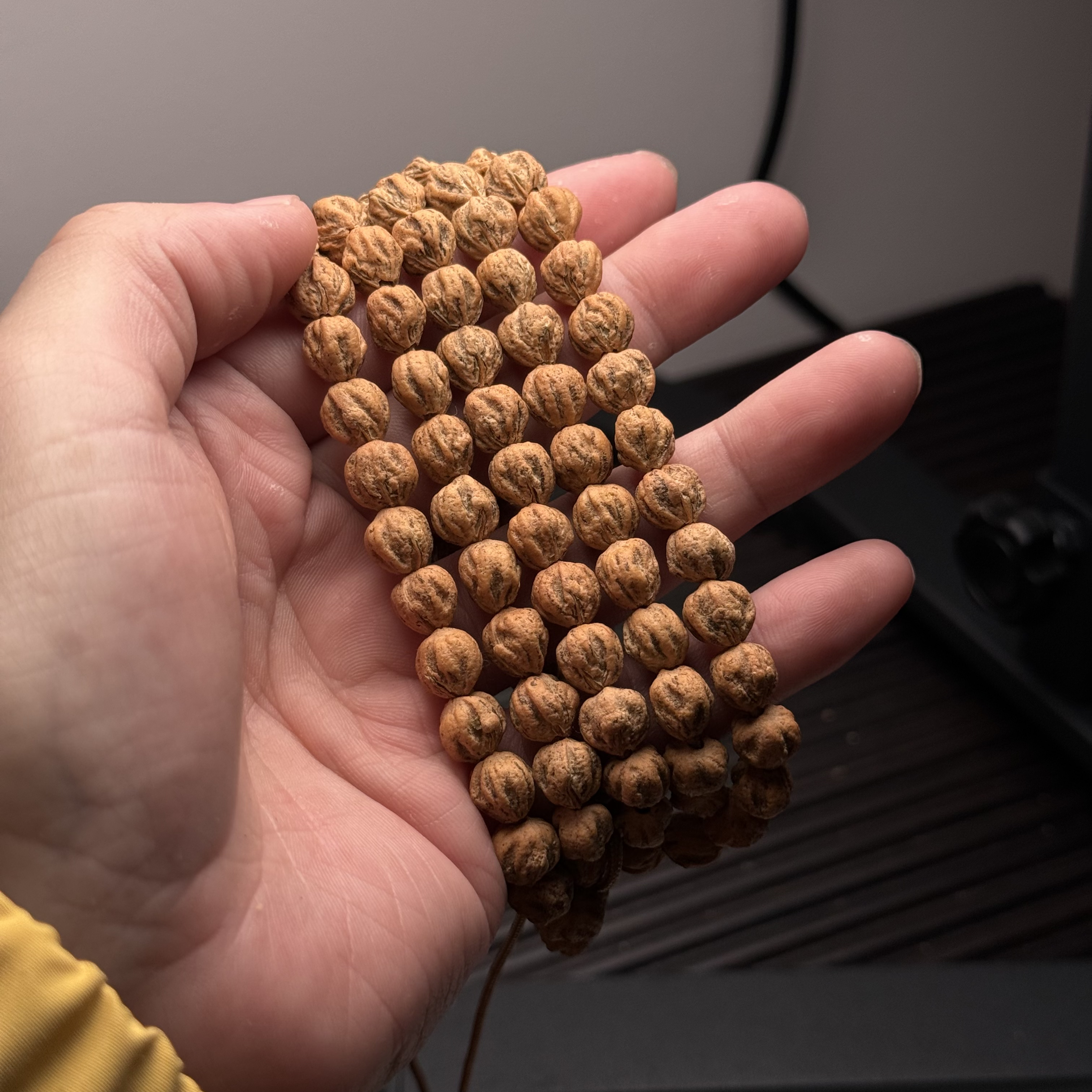 热振柏香籽红皮肌肉纹原桩