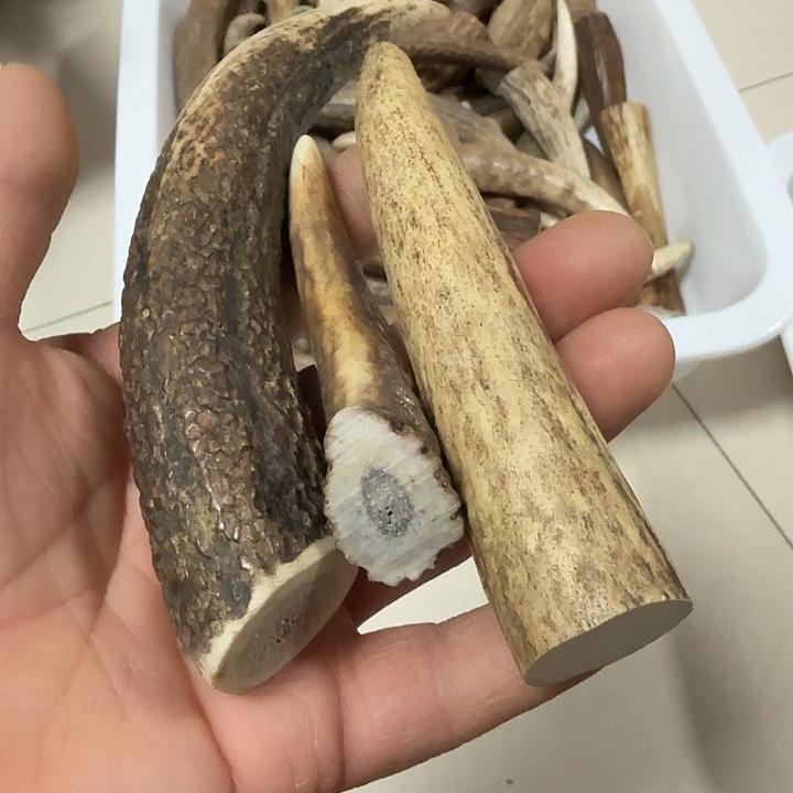 香榧木工艺品手把件鹿角