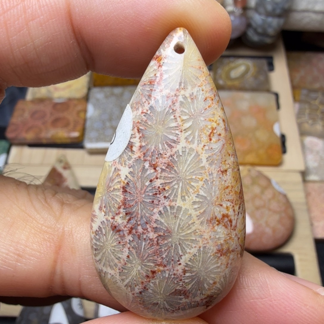 硅化玉未镶嵌纯天然色有机玉石保真色