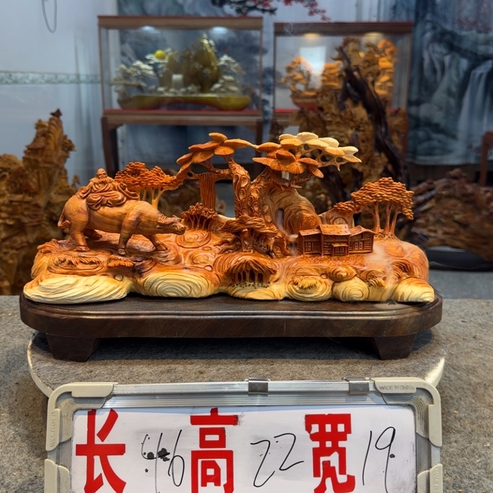 柏木（崖柏）崖柏111111