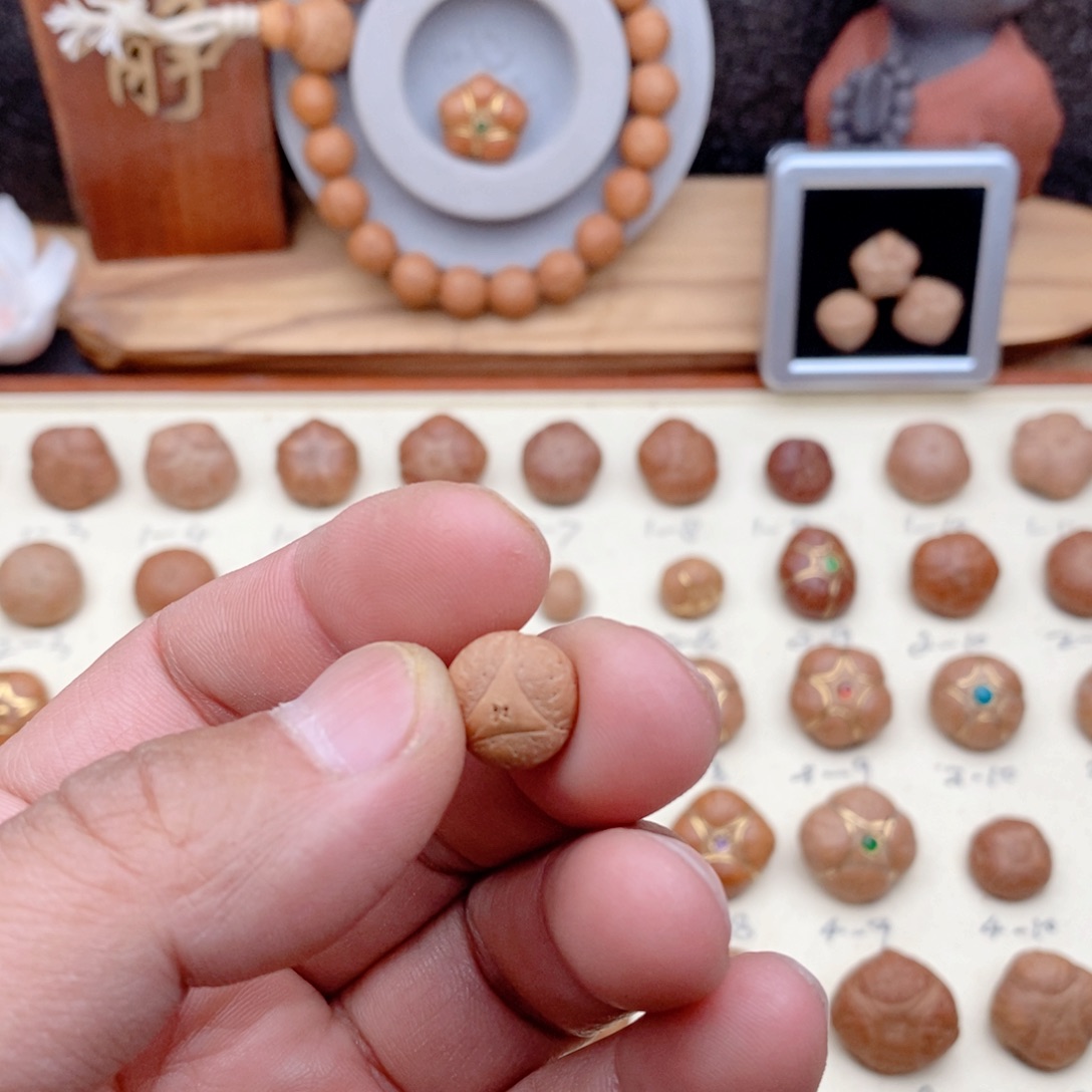 龙眼菩提吊坠H*-手串