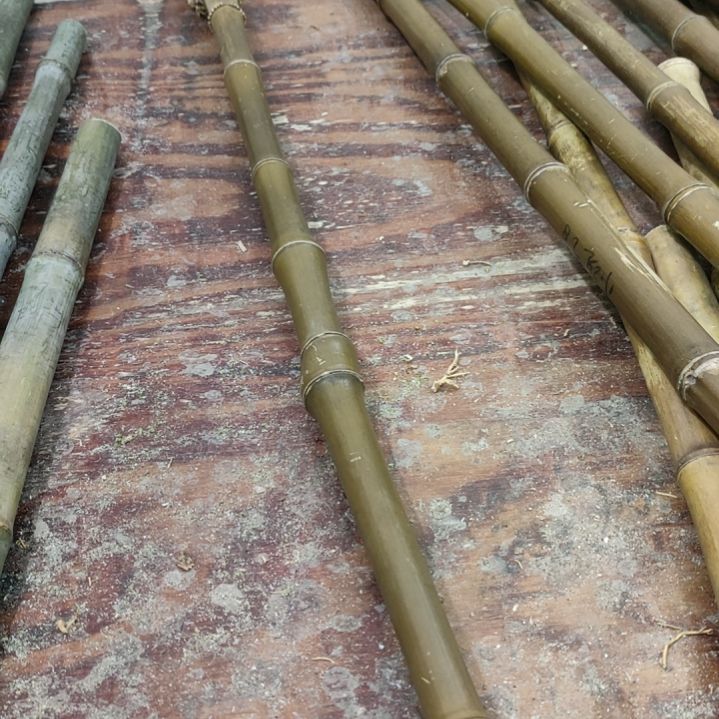 秋***实实心玉竹手把件金条料