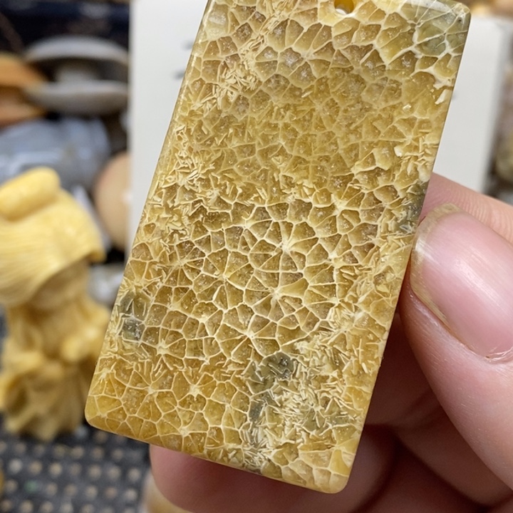 硅化珊瑚（珊瑚玉）未镶嵌颈饰