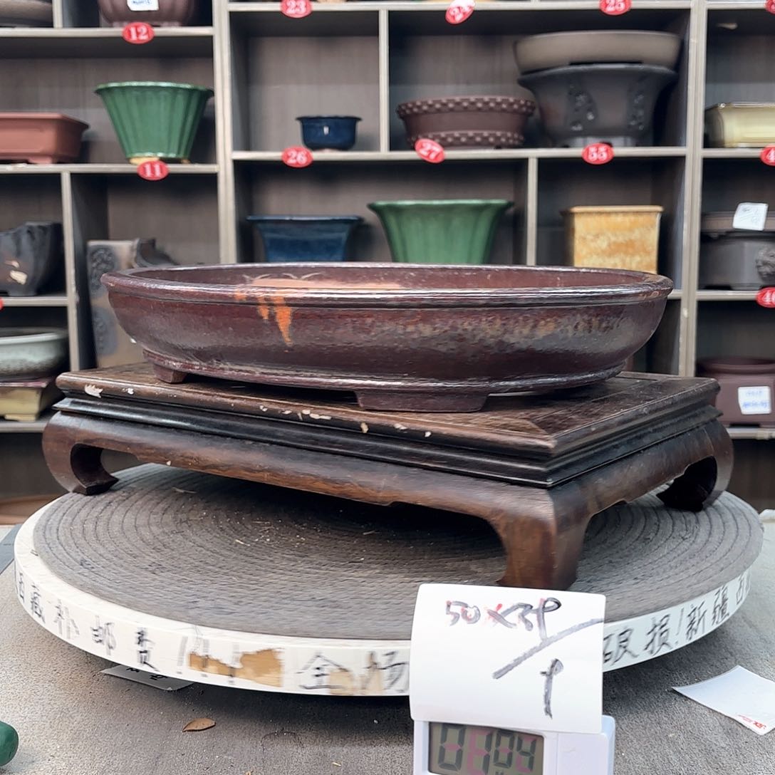 紫砂花盆枫**伴紫砂的颜色很好看