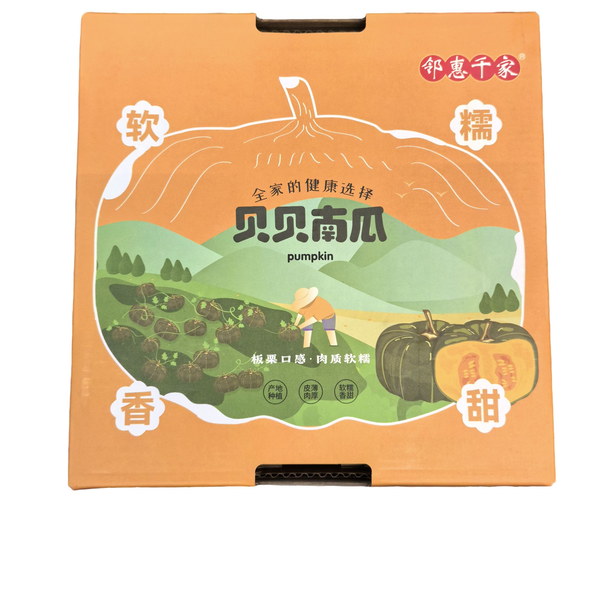 贝贝南瓜/盒4个南瓜同城送