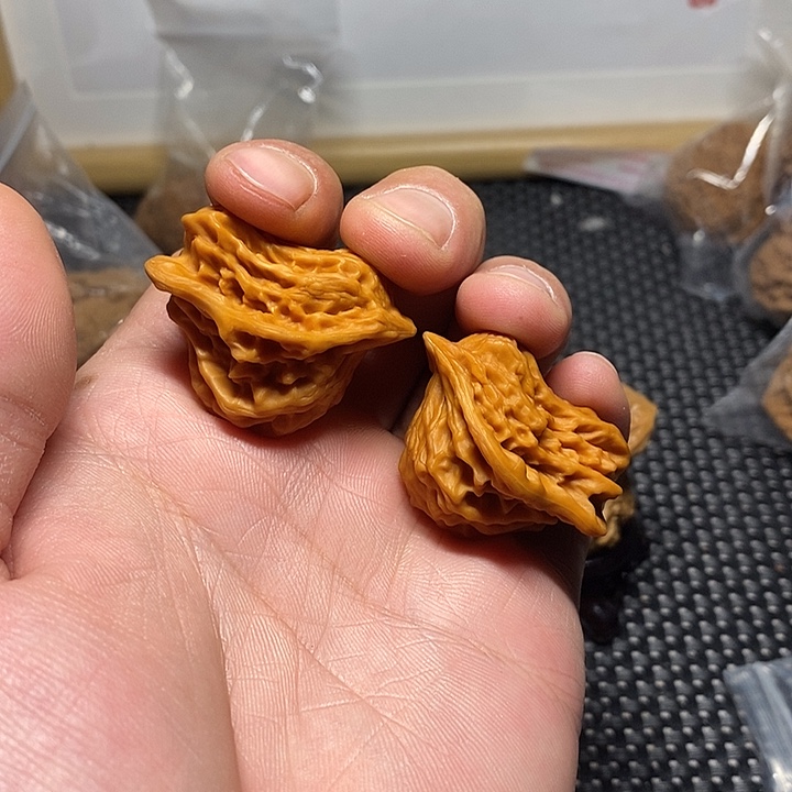 下*了盘山异形小鸟把件280