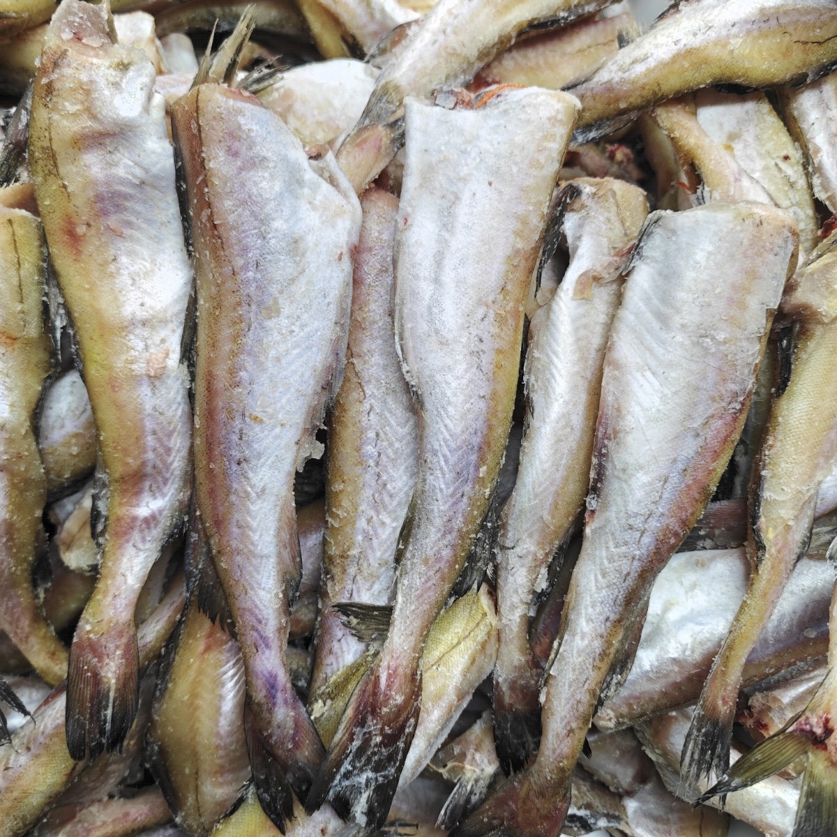 《明太鱼》清蒸 熬着吃 蒜瓣肉 5斤装 天津发货